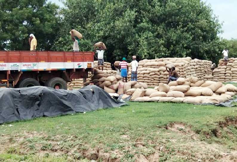 நெல் மூட்டைகள் லாரிகள் மூலம் அரவைக்கு கொண்டு செல்லப்பட்டன