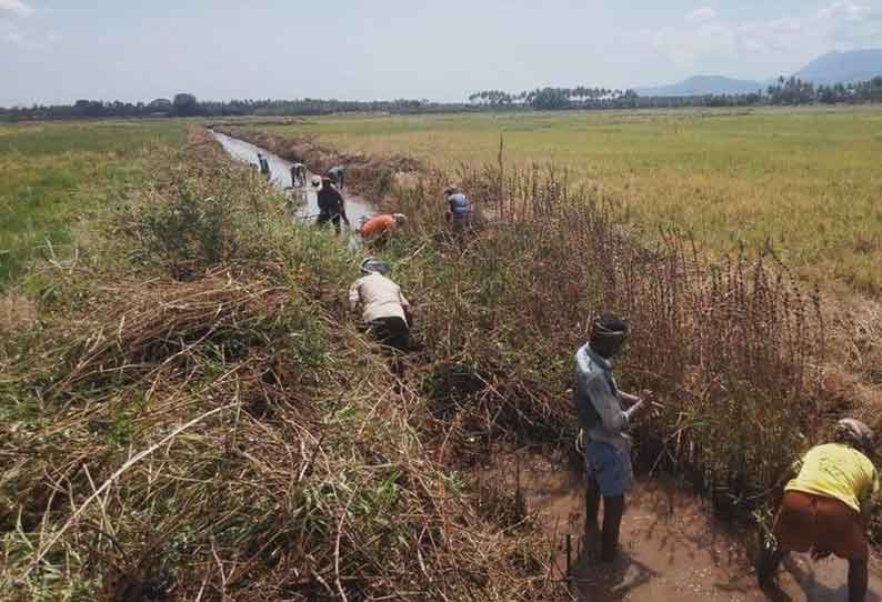 கூடலூரில் சொந்த செலவில் வரத்துக்கால்வாய்களை சீரமைக்கும் விவசாயிகள்