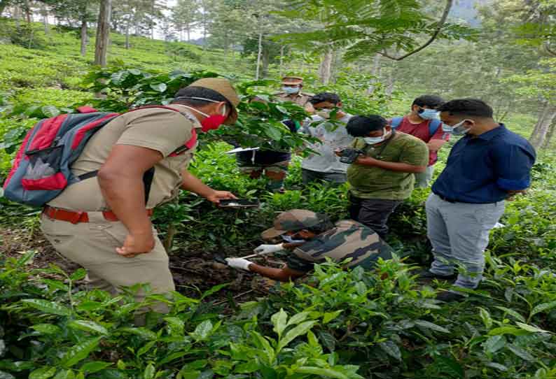 கோத்தகிரி அருகே தேயிலை தோட்டத்தில் அழுகிய நிலையில் இறந்து கிடந்த சிறுத்தை