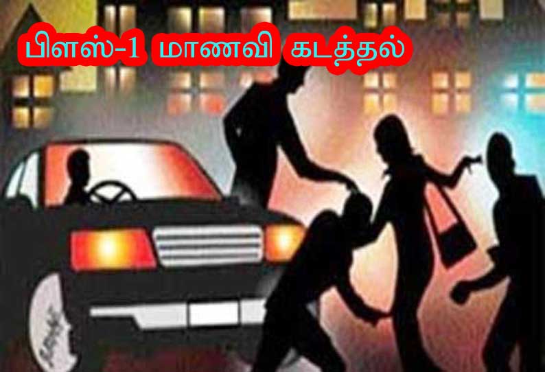 பிளஸ்-1 மாணவி கடத்தல் கல்லூரி மாணவர் உள்பட 4 பேர் மீது வழக்கு