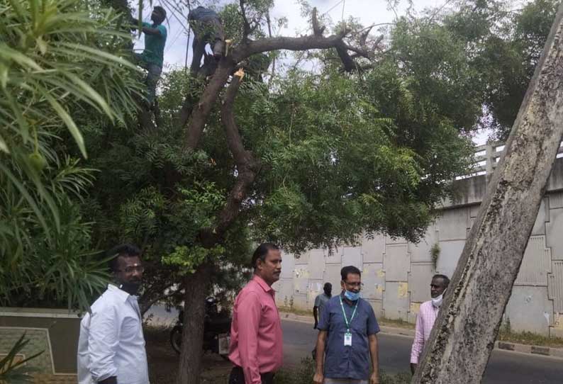 நெல்லையில் தடையில்லா மின்சாரம் வழங்க அதிகாரிகள் நேரடி களஆய்வு