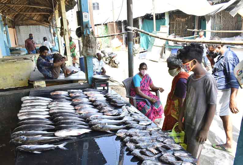 ஊரடங்கு தளர்வால் ஈரோடு ஸ்டோனி பாலம் மீன் சந்தை திறப்பு