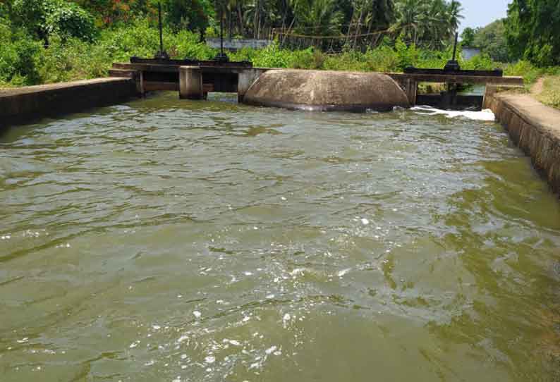 20 ஆண்டுகளுக்கு பிறகு கிளை வாய்க்கால்களில் தண்ணீர் திறப்பு