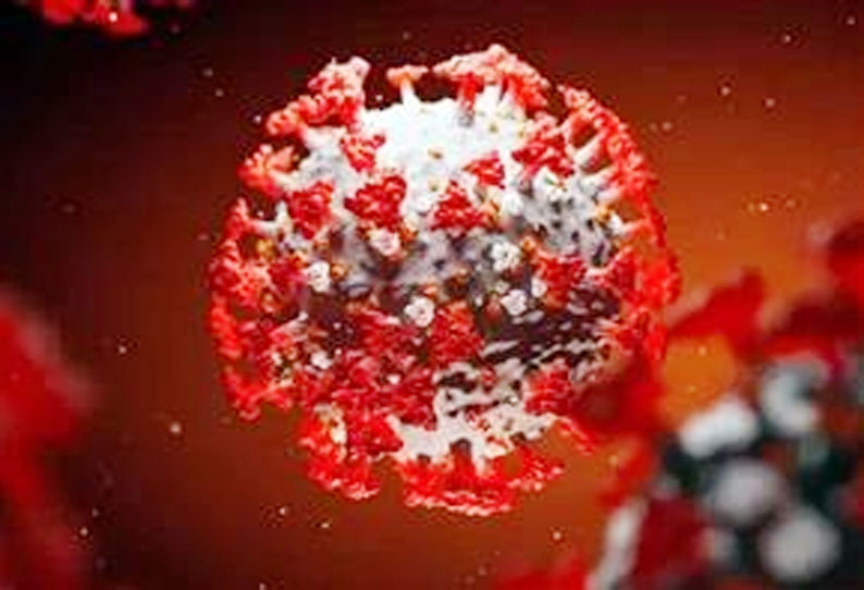 புதிதாக கொரோனா பாதிப்பு இல்லை புதிதாக கொரோனா பாதிப்பு இல்லை