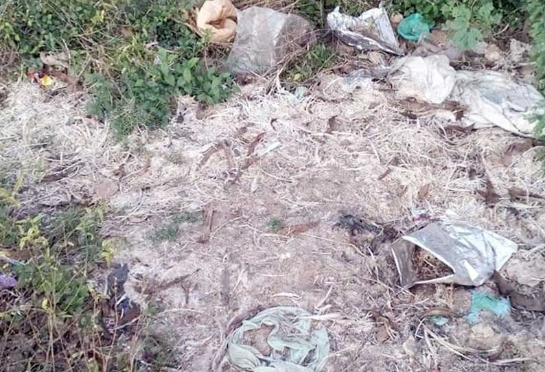 சாலையோரத்தில் கொட்டப்படும் இறைச்சி கழிவுகளால் சுகாதார கேடு