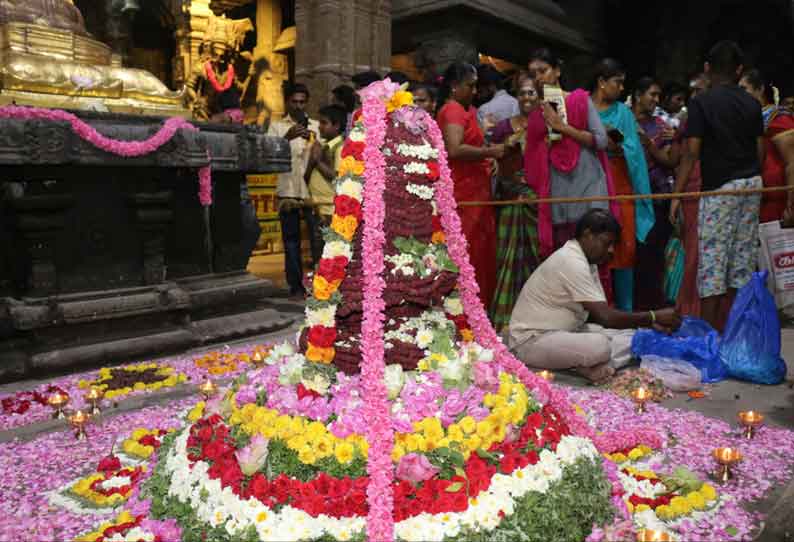 நெல்லை கோவில்களில் சிவராத்திரி விழா  விடிய, விடிய பக்தர்கள் வழிபாடு