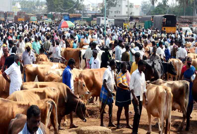 ஈரோடு கருங்கல்பாளையம் சந்தைக்கு வெளிமாநில வியாபாரிகள் வரவில்லை