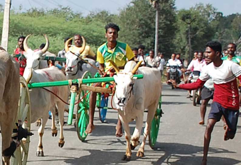 மாட்டு வண்டி பந்தயம்