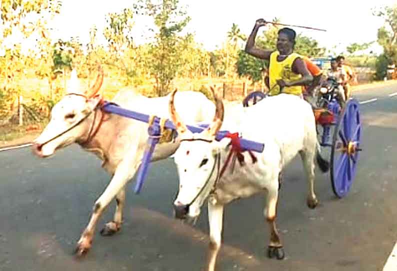 அறந்தாங்கி அருகே மாட்டுவண்டி பந்தயம்