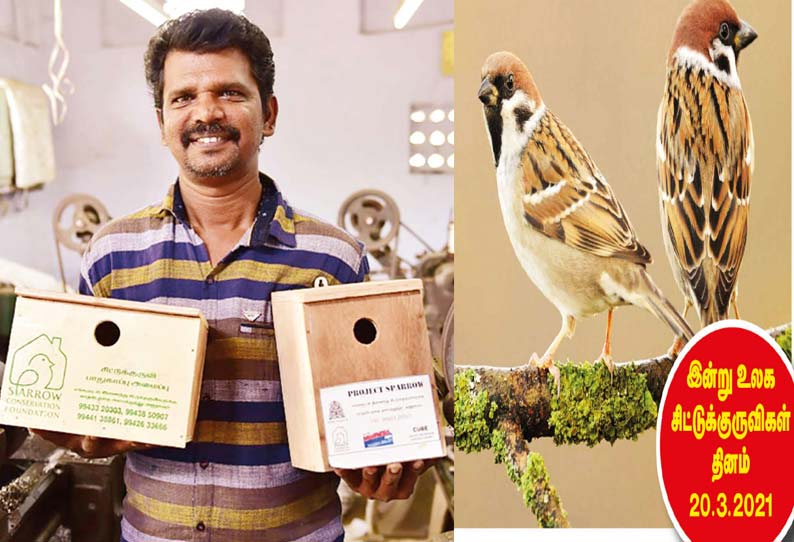 சிட்டுக்குருவிகளின் ‘காதலர்’