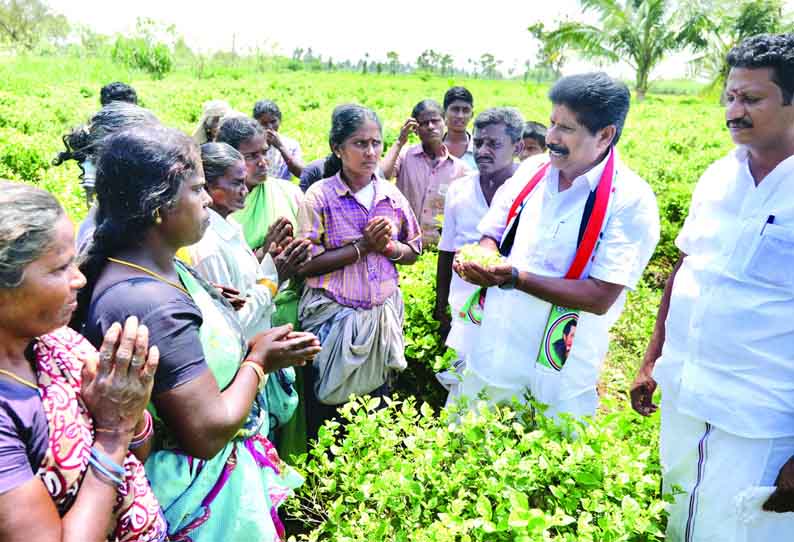 மழை மற்றும் குளிர் காலங்களில் மல்லிகை உற்பத்தியை பெருக்க வெப்பமூட்டி குடில் அமைக்கப்படும் - ஸ்ரீரங்கம் அ.தி.மு.க. வேட்பாளர் கு.ப.கிருஷ்ணன் வாக்குறுதி