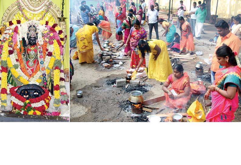 எல்லைப்பிடாரி அம்மன் கோவில் திருவிழா: பொங்கல் வைத்து பெண்கள் வழிபாடு