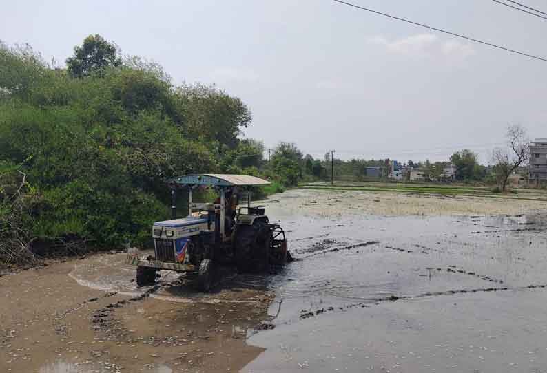 கோடை சாகுபடிக்காக நிலத்தை தயார் செய்யும் பணி தீவிரம்