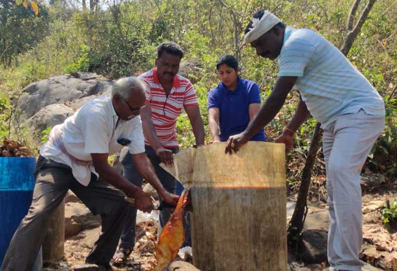 கல்வராயன்மலையில் 2 ஆயிரம் லிட்டர் சாராய ஊறல் அழிப்பு