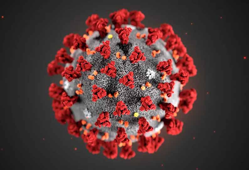 கோவையில் உருமாறிய வைரஸ் பரவுகிறதா
