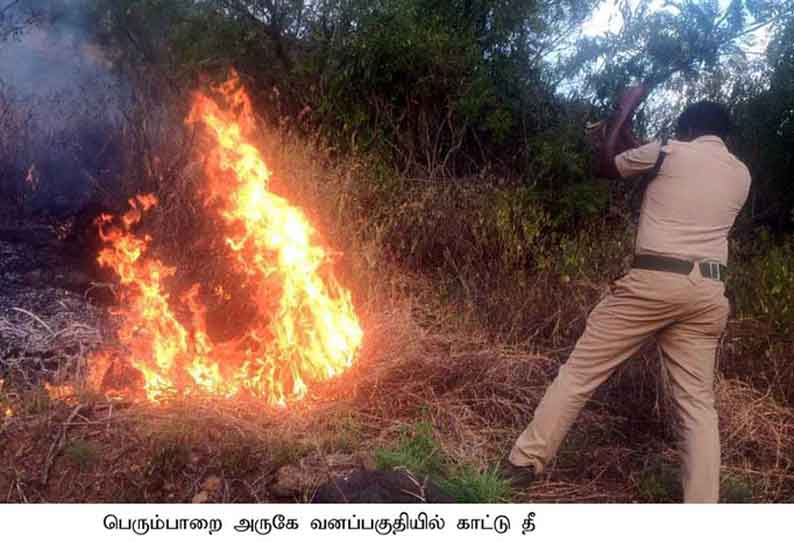 பெரும்பாறை அருகே  வனப்பகுதியில் காட்டுத்தீ