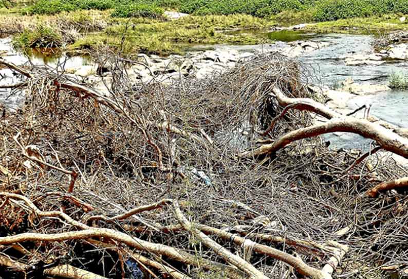 அமராவதி ஆற்றில் கொட்டப்படும் மரக்கழிவுகள்