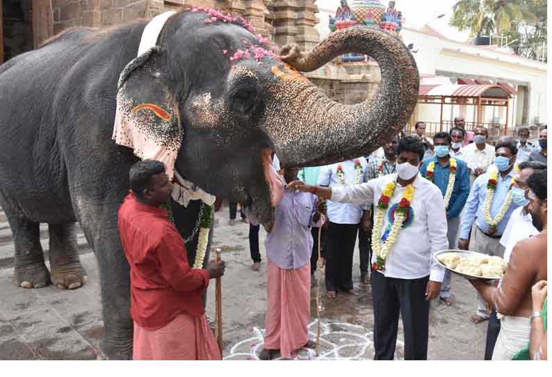 பழனி முருகன் கோவிலுக்கு திரும்பிய கஸ்தூரி யானை