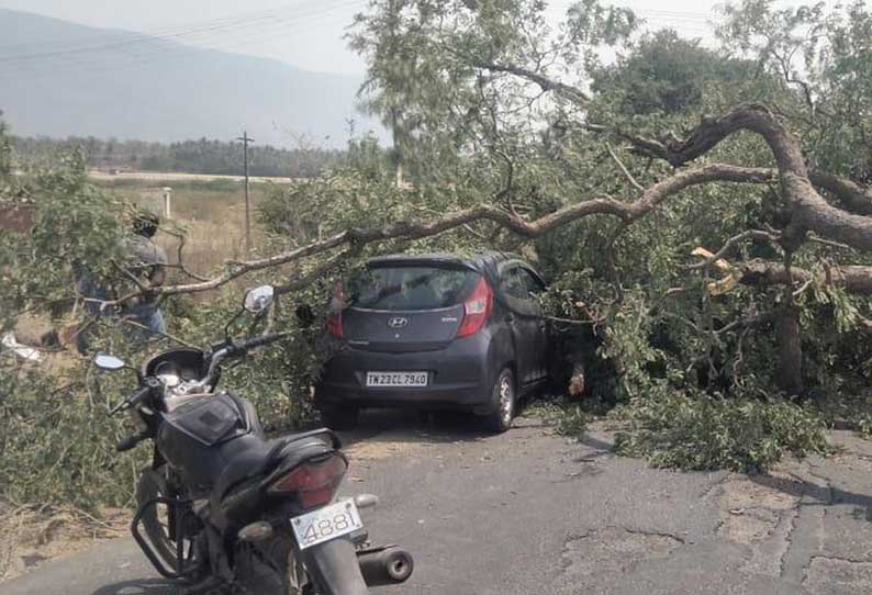 கார் மீது புளியமரம் விழுந்து 5 பேர் படுகாயம்