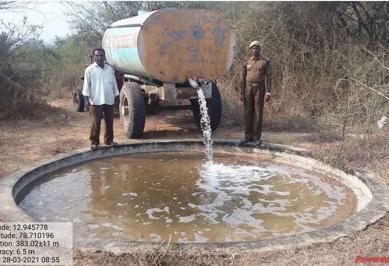 பேரணாம்பட்டு வனச்சரகத்தில்  வன விலங்குகளுக்காக   டிராக்டர் மூலம் தண்ணீர் நிரப்பும் பணி