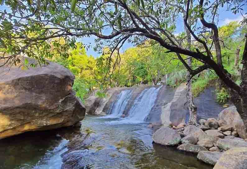 அருவிகளில் நீர்வரத்து அதிகரிப்பு