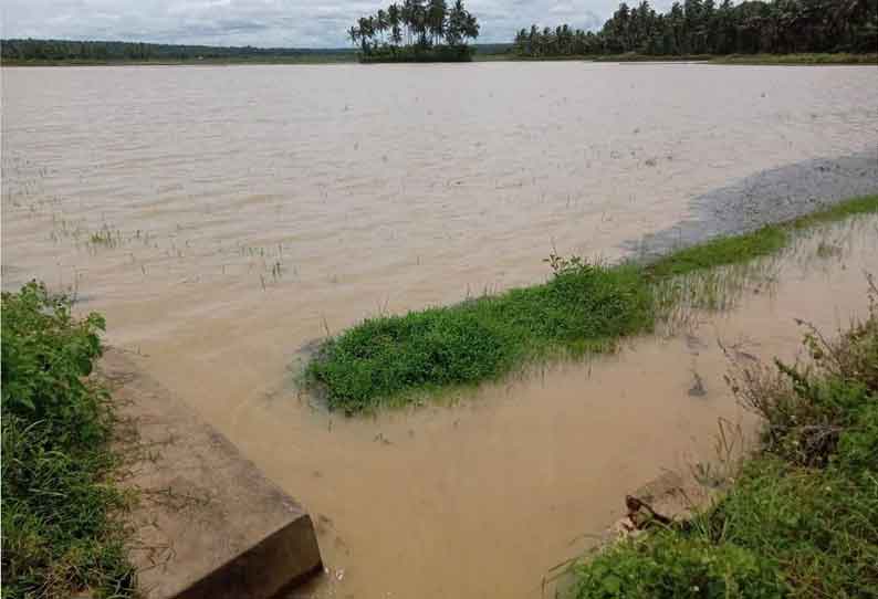 முள்ளங்கினாவிளையில் 95 மி.மீ. பதிவு