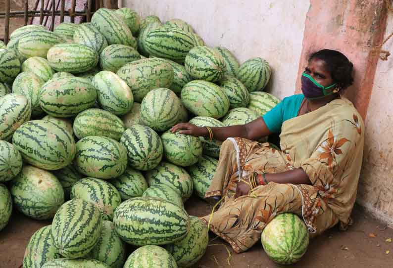 ஊரடங்கால் சாலையோர கடைகளில் அழுகி வீணாகும் தர்பூசணி, கிர்ணி பழங்கள் விற்பனை இல்லாததால் வியாபாரிகள் கவலை