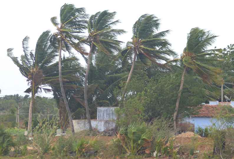 புயல் எச்சரிக்கை எதிரொலி மாவட்டம் முழுவதும் உஷார் நிலையில் மீட்புகுழுவினர் பலத்த காற்று வீசியதால் மரக்கிளைகள் விழுந்து மின்சாரம் துண்டிப்பு