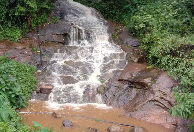 வால்பாறையில் சூறாவளி காற்றுடன் பலத்த மழை