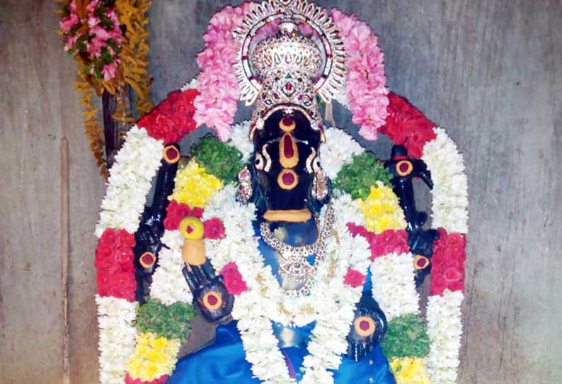 வீராணம் அருகே வாராகி அம்மனுக்கு சிறப்பு பூஜை