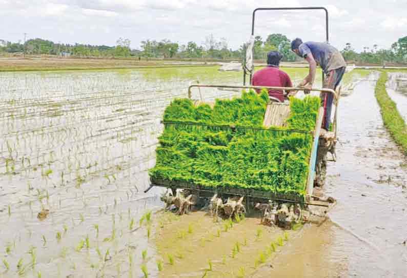 தரங்கம்பாடி தாலுகா பகுதியில் எந்திரம் மூலம் நாற்று நடும் பணியில் விவசாயிகள் தீவிரம்