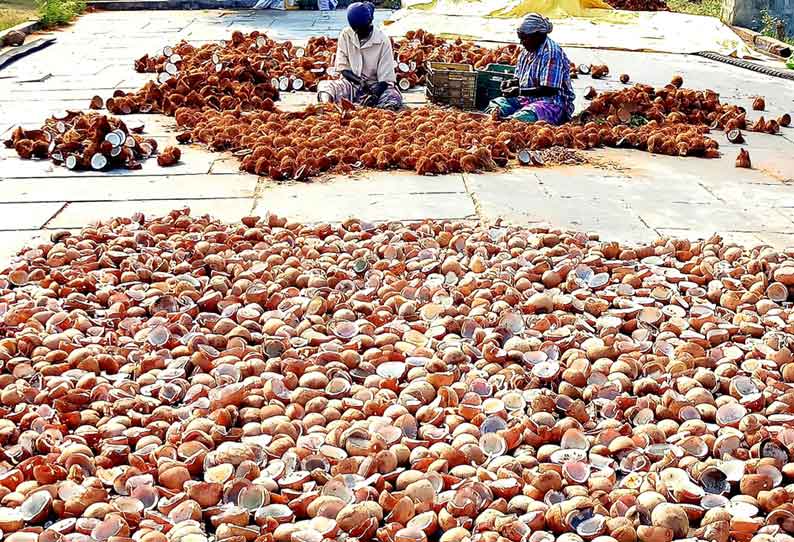 மடத்துக்குளம் பகுதியில் தேங்காய் பருப்புகள் தேக்கம் அடைந்துள்ளதால் வியாபாரிகள் கவலை அடைந்துள்ளனர்.