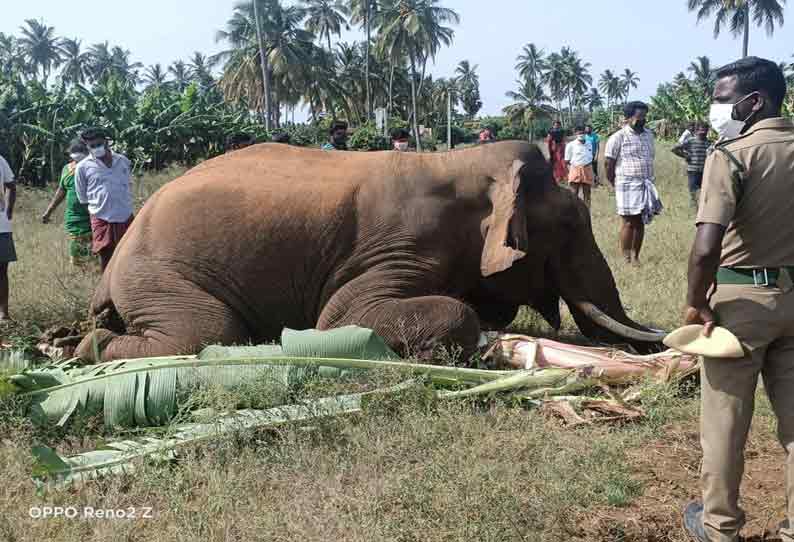 பவானிசாகர் அருகே  மின்வேலியில் சிக்கி ஆண் யானை சாவு