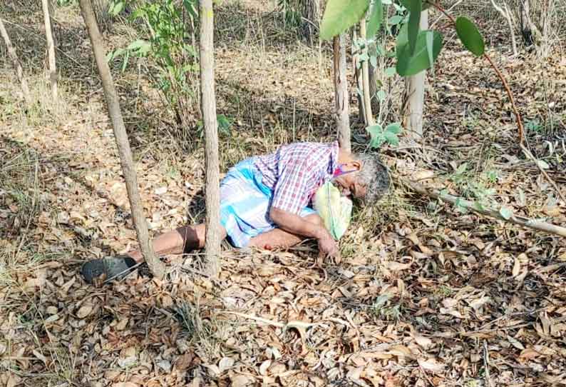 தைலமரக்காட்டில் பிணமாக கிடந்த கொரோனா நோயாளி