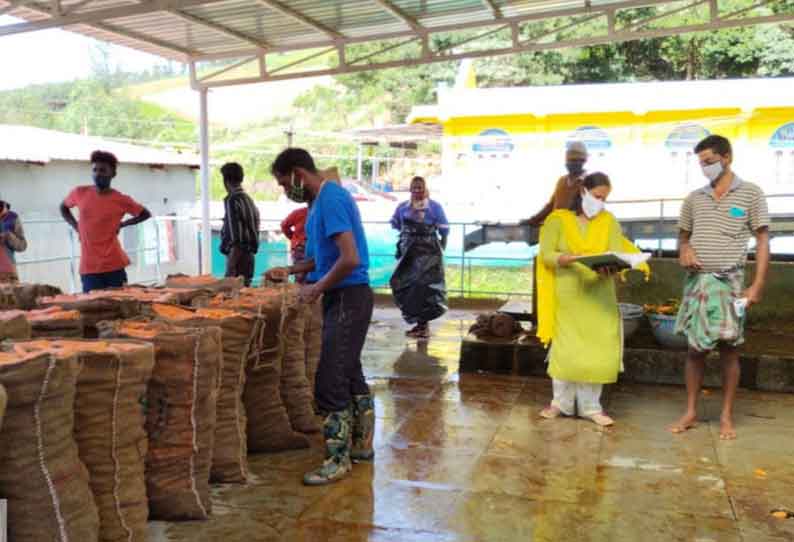 கேரட் சுத்திகரிப்பு நிலையத்தில் தோட்டக்கலை உதவி இயக்குனர் ஆய்வு