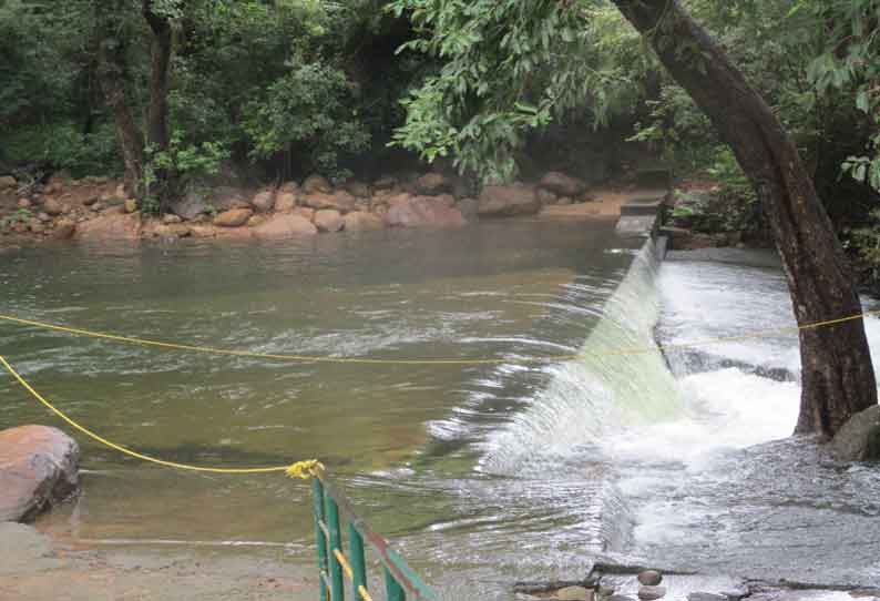 களக்காடு தலையணையில் தண்ணீர் வரத்து அதிகரிப்பு