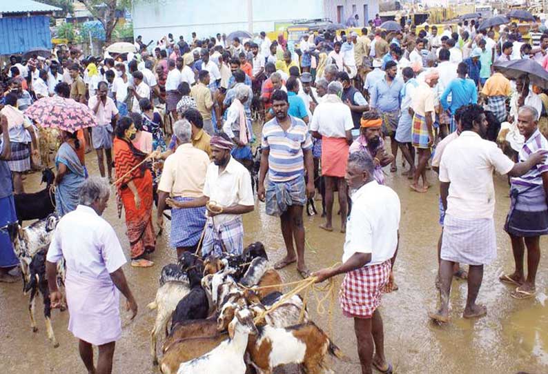 தீபாவளி பண்டிகையை முன்னிட்டு மேலப்பாளையம் சந்தையில் 3 கோடி ரூபாய்க்கு ஆடுகள் விற்பனை நடந்துள்ளது