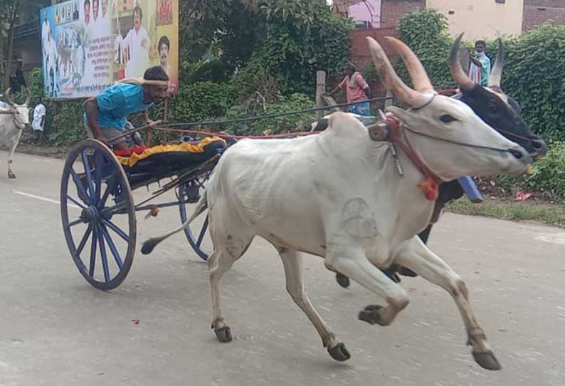 இரட்டை மாட்டு வண்டி பந்தயம்