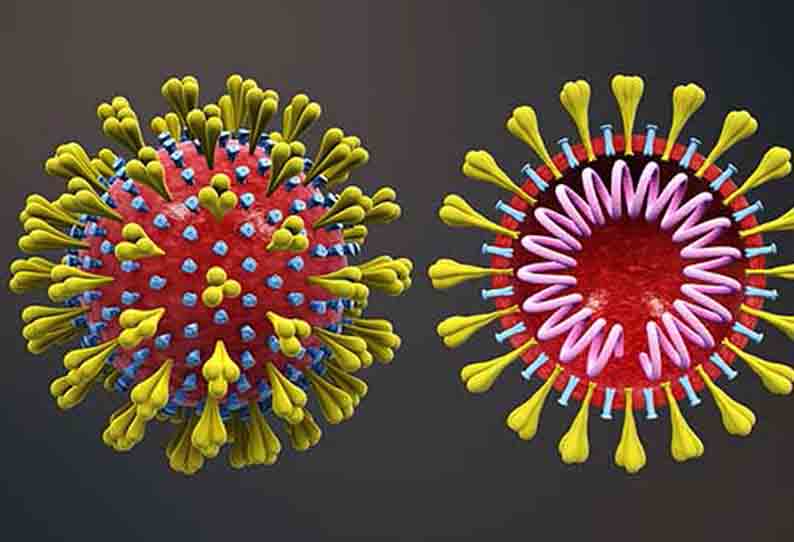 கொரோனாவிற்கு ஒருவர் சாவு