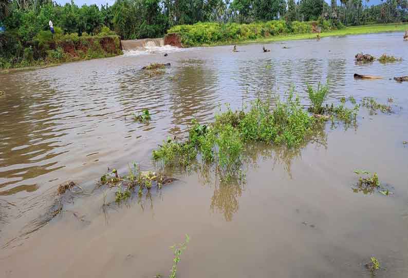 கோபி பகுதியில் பலத்த மழை தடப்பள்ளி வாய்க்கால் கரையில் உடைப்பு; 2 ஆயிரம் ஏக்கர் நெல்பயிர்கள் நீரில் மூழ்கின