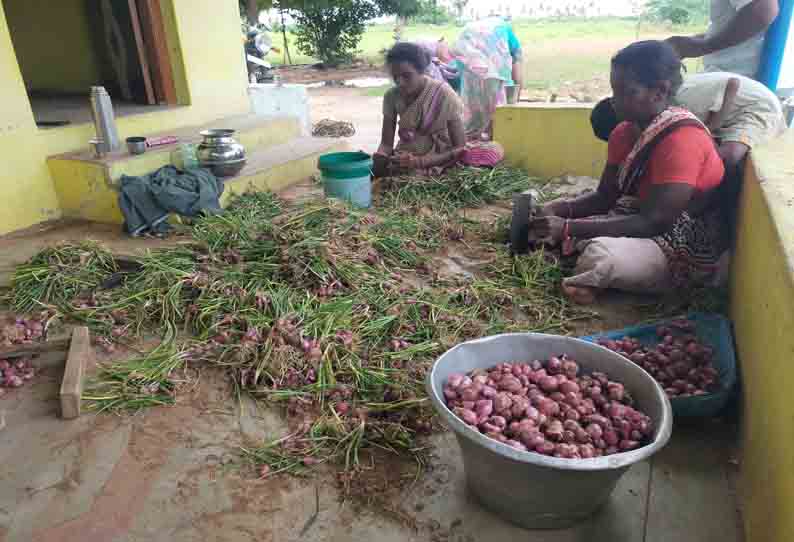 வெங்காய விலை வீழ்ச்சியால் விவசாயிகள் கவலை