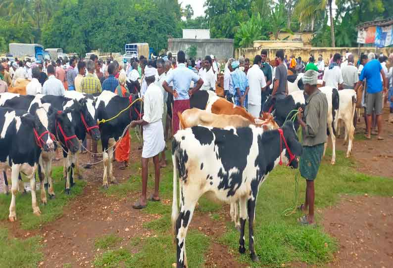 சீனாபுரம் சந்தையில் ரூ.50 லட்சத்துக்கு மாடுகள் விற்பனை