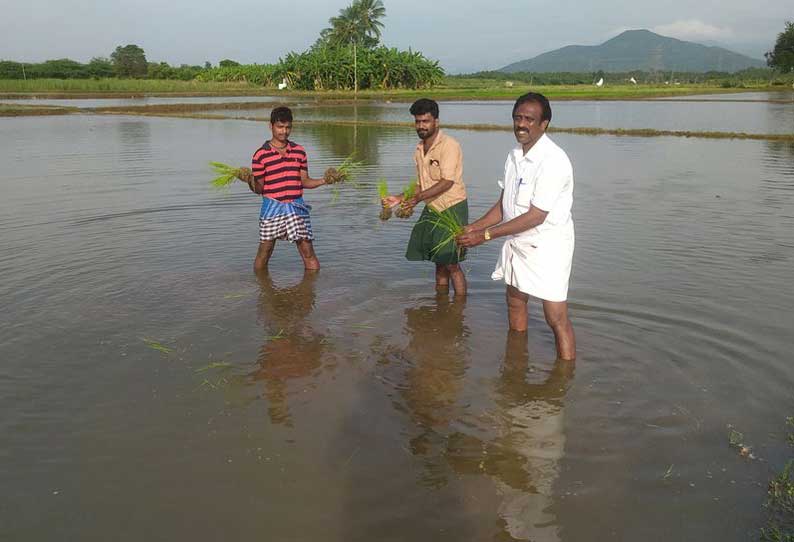 விளைநிலங்களுக்குள் புகுந்த தண்ணீர்