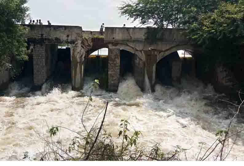 புதுக்கோட்டை மாவட்டத்தில் கொட்டிதீர்த்த பலத்த மழை  5 வீடுகள் சேதம், 2 மாடுகள் செத்தன