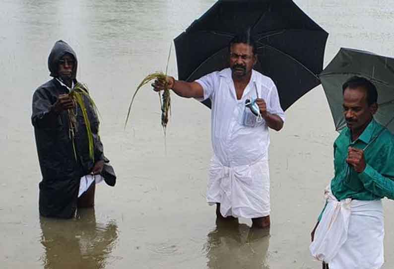 40 ஆயிரம் ஏக்கர் நெற்பயிர்கள் நீரில் மூழ்கின