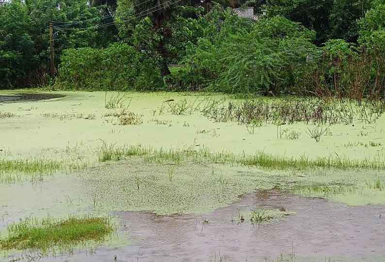 குடியிருப்பு பகுதிகளை மழைநீர் சூழ்ந்தது