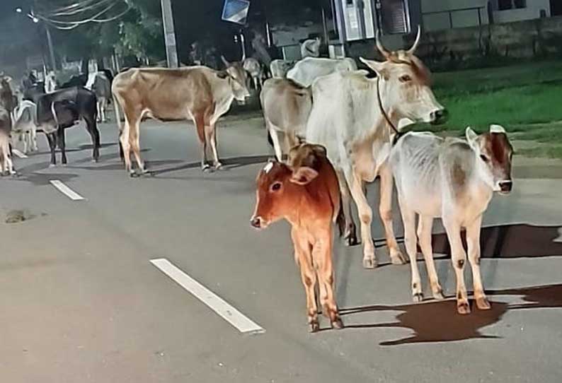 ‘தினத்தந்தி’ புகார் பெட்டி