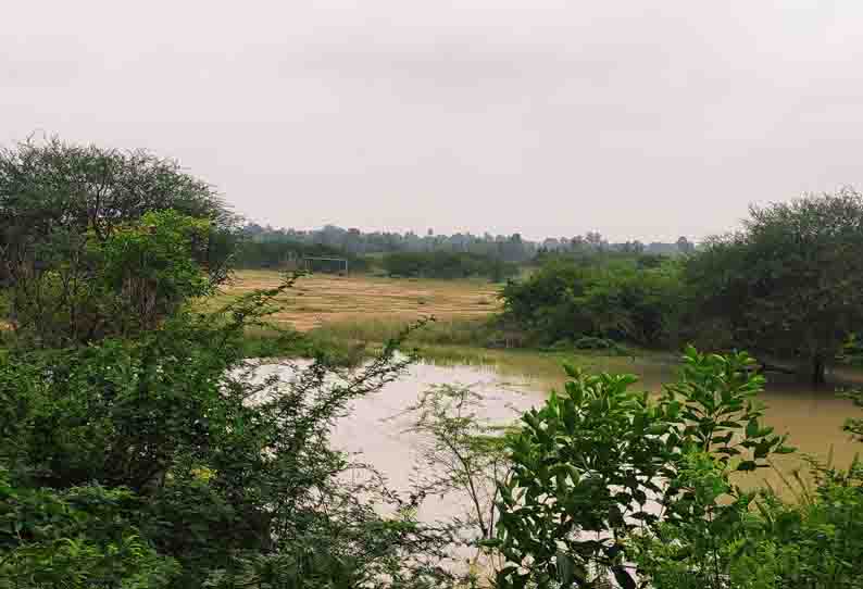 கீரமங்கலம் பகுதியில் கனமழை பெய்தும் கிராமங்களுக்கு நிலத்தடி நீர் ஆதாரமாக உள்ள பெரியாத்தாள் ஏரி நிரம்பவில்லை வரத்து வாரிகள் மராமத்து இல்லாததால் அவலம்