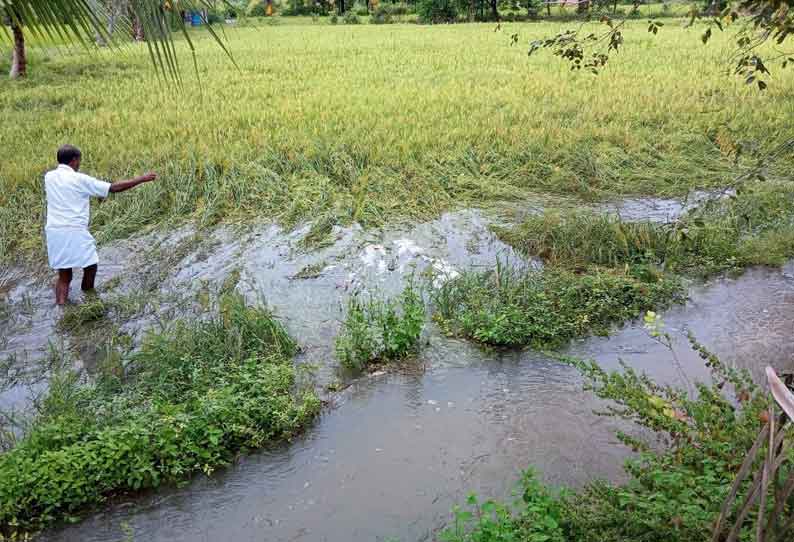 கலவை பகுதியில் 400 ஏக்கர் நெல் பயிர்கள் நீரில் மூழ்கியது