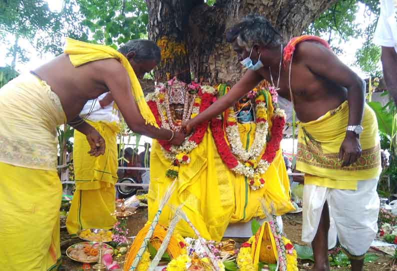 காரமடை அருகே அரச வேப்ப மரத்திற்கு திருமணம் செய்து வைத்த கிராம மக்கள்